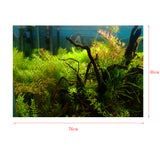 Max Aquarium Background Poster Fish Tank Wallpaper Sticker Underwater Decor M