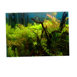 Max Aquarium Background Poster Fish Tank Wallpaper Sticker Underwater Decor M