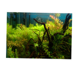 Max Aquarium Background Poster Fish Tank Wallpaper Sticker Underwater Decor M