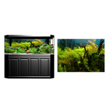 Max Aquarium Background Poster Fish Tank Wallpaper Sticker Underwater Decor L