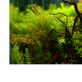 Max Aquarium Background Poster Fish Tank Wallpaper Sticker Underwater Decor XL