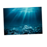 Max Aquarium 3D Background Sticker Fish Tank Wall Decoration Painting PVC M