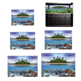 Max HD Fish Tank Background Painting PVC Aquarium Background Poster XS