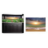 Max 3D Aquarium Background Poster Fish Tank Wall Decoration Sticker S