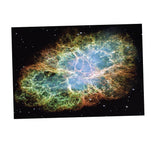 Max 3D HD Aquarium Background Poster Fish Tank Wall Decoration Sticker S