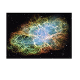 Max 3D HD Aquarium Background Poster Fish Tank Wall Decoration Sticker M