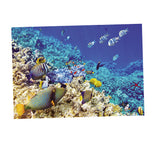 Max Aquarium Background Poster Fish Tank Wall Decoration Sticker S