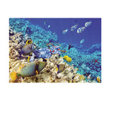 Max Aquarium Background Poster Fish Tank Wall Decoration Sticker M