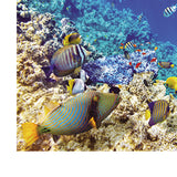 Max Aquarium Background Poster Fish Tank Wall Decoration Sticker M