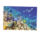 Max Aquarium Background Poster Fish Tank Wall Decoration Sticker M