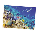 Max Aquarium Background Poster Fish Tank Wall Decoration Sticker L