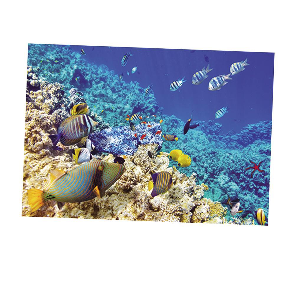 Max Aquarium Background Poster Fish Tank Wall Decoration Sticker XL