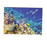 Max Aquarium Background Poster Fish Tank Wall Decoration Sticker XL
