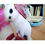 Max Small Pet Sweet Bamboo Chew Toy for Rabbits Guinea Pigs Chinchilla Hamster