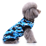 Max Pet Dog / Cat Recovery Suit Surgery Wound Protective Clothes Blue Camo L