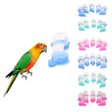 Max 5 Pcs Bird Pigeon Parrot Automatic Feeder Water Food Dispenser Blue S