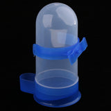 Max 5 Pcs Bird Pigeon Parrot Automatic Feeder Water Food Dispenser Blue L