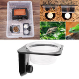 Max 1Pc Reptile Feeding Bowl Screw Food & Water Dish For Gecko, Lizard, etc