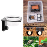 Max 1Pc Reptile Feeding Bowl Screw Food & Water Dish For Gecko, Lizard, etc