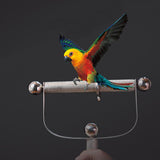 Max Stainless Steel Bird Parrot Scratching Stick Outdoor Handheld Standing Frame