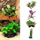 Maxbell Artificial Aquatic Plant for Aquarium Fish Tank Landscape 1