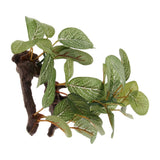 Maxbell Artificial Aquatic Plant for Aquarium Fish Tank Landscape 1