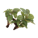 Maxbell Artificial Aquatic Plant for Aquarium Fish Tank Landscape 1