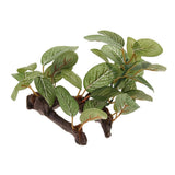 Maxbell Artificial Aquatic Plant for Aquarium Fish Tank Landscape 1