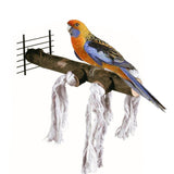 Maxbell Bird Perch Parrot Perches Natural Wood Pole for Parakeets Cockatiel Budgie