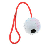Maxbell Pet Dog and Cat Interactive Play Interactive Ball with Rope Toy White