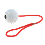 Maxbell Pet Dog and Cat Interactive Play Interactive Ball with Rope Toy White