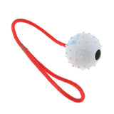 Maxbell Pet Dog and Cat Interactive Play Interactive Ball with Rope Toy White