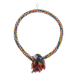 Maxbell Pet Bite-resistant Cotton Rope Swing Bird Toy Round Circle Ring  S