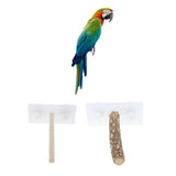 Maxbell Bird Perch Stand Portable Suction Cup Bird Window and Shower Perch Toy S01
