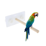 Maxbell Bird Perch Stand Portable Suction Cup Bird Window and Shower Perch Toy S01