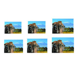 Maxbell Aquarium 3D Single-sided Adhesive Background Sticker Decoration 61x30cm