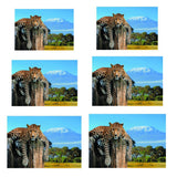 Maxbell Aquarium 3D Single-sided Adhesive Background Sticker Decoration 61x30cm