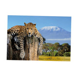 Maxbell Aquarium 3D Single-sided Adhesive Background Sticker Decoration 61x30cm