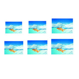 Maxbell Aquarium Fish Tank Adhesive Background Picture Wall Decoration XS