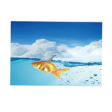 Maxbell Aquarium Fish Tank Adhesive Background Picture Wall Decoration S