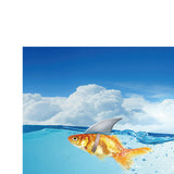 Maxbell Aquarium Fish Tank Adhesive Background Picture Wall Decoration S