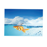 Max Aquarium Fish Tank Adhesive Background Picture Wall Decoration XXL