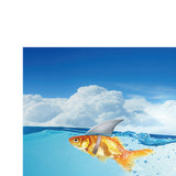 Max Aquarium Fish Tank Adhesive Background Picture Wall Decoration XXL