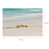 Max Aquarium Landscape Poster Single Sided Fish Tank Background Sticker S
