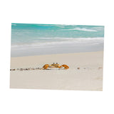 Max Aquarium Landscape Poster Single Sided Fish Tank Background Sticker L