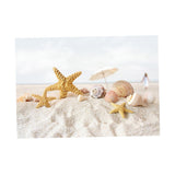 Max Aquarium 3D Background Sticker Fish Tank Backdrop Adhesive Poster 76x56cm