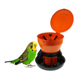 Max Plastic Orange & Black Poultry Feeder For Chickens/Hens/Ducks/Chicks