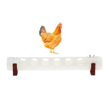 Max Poultry Chicken Automatic Feeder Drinking Fountain Water Drinker 12 Holes