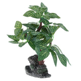 Maxbell Aquarium Ornament Aquatic Plant Decor Underwater Tree 11 Choice 611M