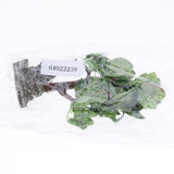 Maxbell Aquarium Ornament Aquatic Plant Decor Underwater Tree 11 Choice 619M
